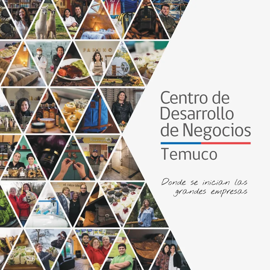 Portada del Centro de Desarrollo de Negocios de Temuco: mosaico de triángulos con fotos de emprendedores locales