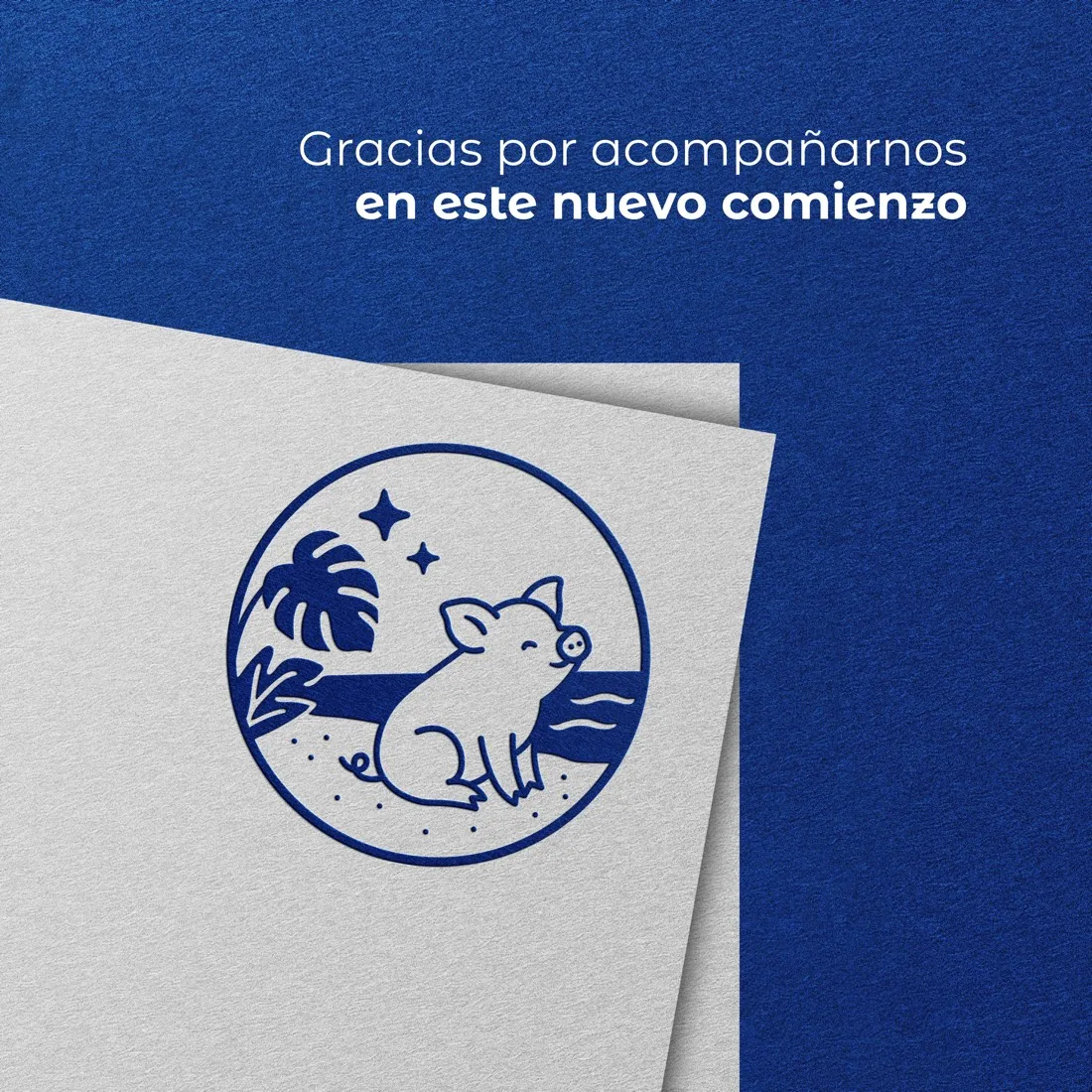 Sello de Nortika en relieve azul sobre papel blanco: un cerdito sentado frente al mar, con una monstera y estrellas, y el texto «Gracias por acompañarnos en este nuevo comienzo»